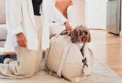 FuzzYard Life Multipurpose Carrier & Car Seat - Sandstone