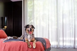 FuzzYard Life Pet Blanket - Slate Grey