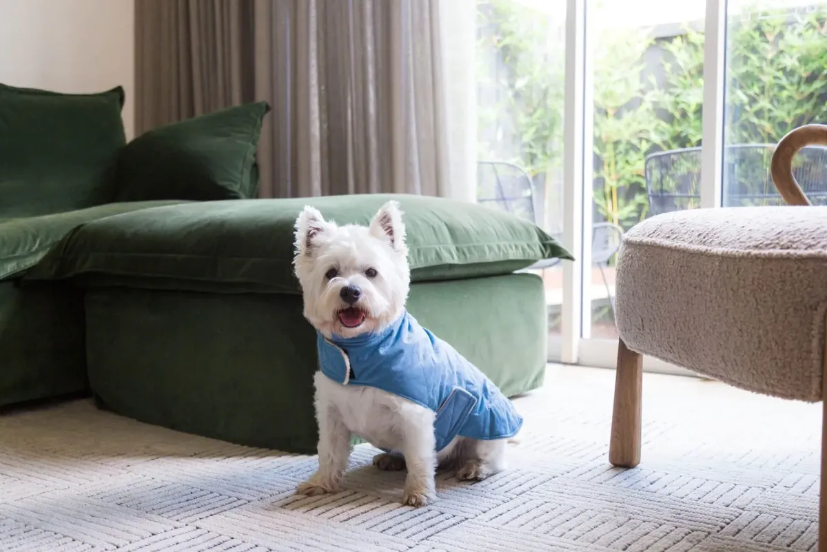 FuzzYard Life Quilted Cotton Wrap Vest - French Blue