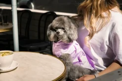 FuzzYard Life Raincoat - Lilac