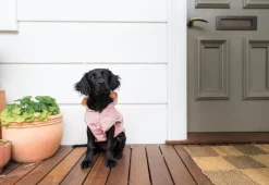 FuzzYard Life Raincoat - Soft Blush