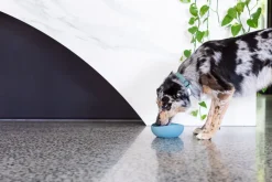 FuzzYard Life Silicone Bowl - French Blue