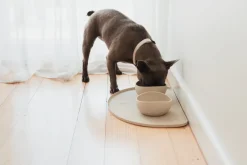 FuzzYard Life Silicone Feeding Mat - Sandstone