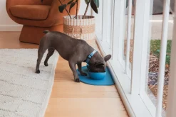 FuzzYard Life Silicone Feeding Mat - French Blue