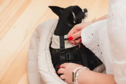 FuzzYard Life Sling Carrier - Sandstone