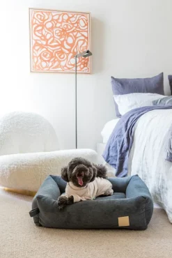 FuzzYard Life Soft Touch Pajamas - Sandstone