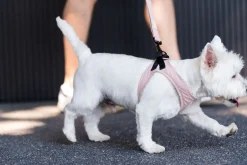 FuzzYard Life Step In Harness - Soft Blush