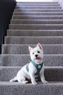 FuzzYard Life Step In Harness - Myrtle Green