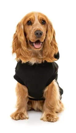 FuzzYard State Hoodie Black