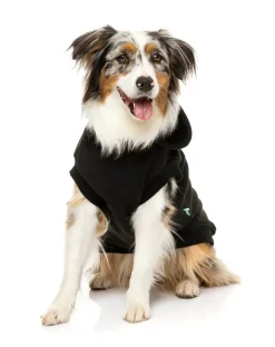 FuzzYard State Hoodie Black