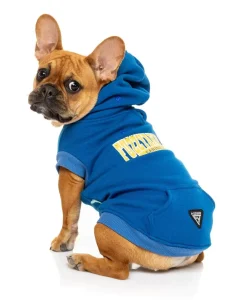 FuzzYard State Hoodie Blue