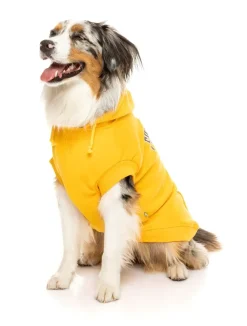 FuzzYard State Hoodie Yellow