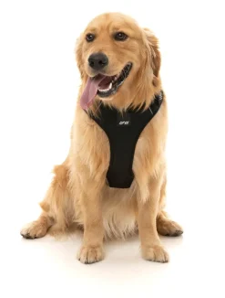 FuzzYard FY Active Go Harness - Black
