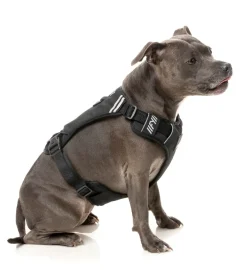 FuzzYard FY Active Go Harness - Black