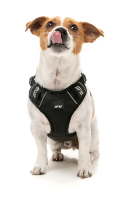 FuzzYard FY Active Go Harness - Black