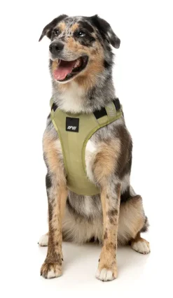 FuzzYard FY Active Go Harness - Khaki