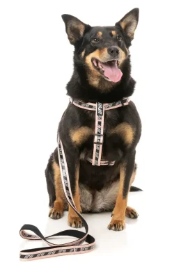 FuzzYard FY Active Lead - Peach