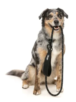 FuzzYard FY Active Rope Lead - Black