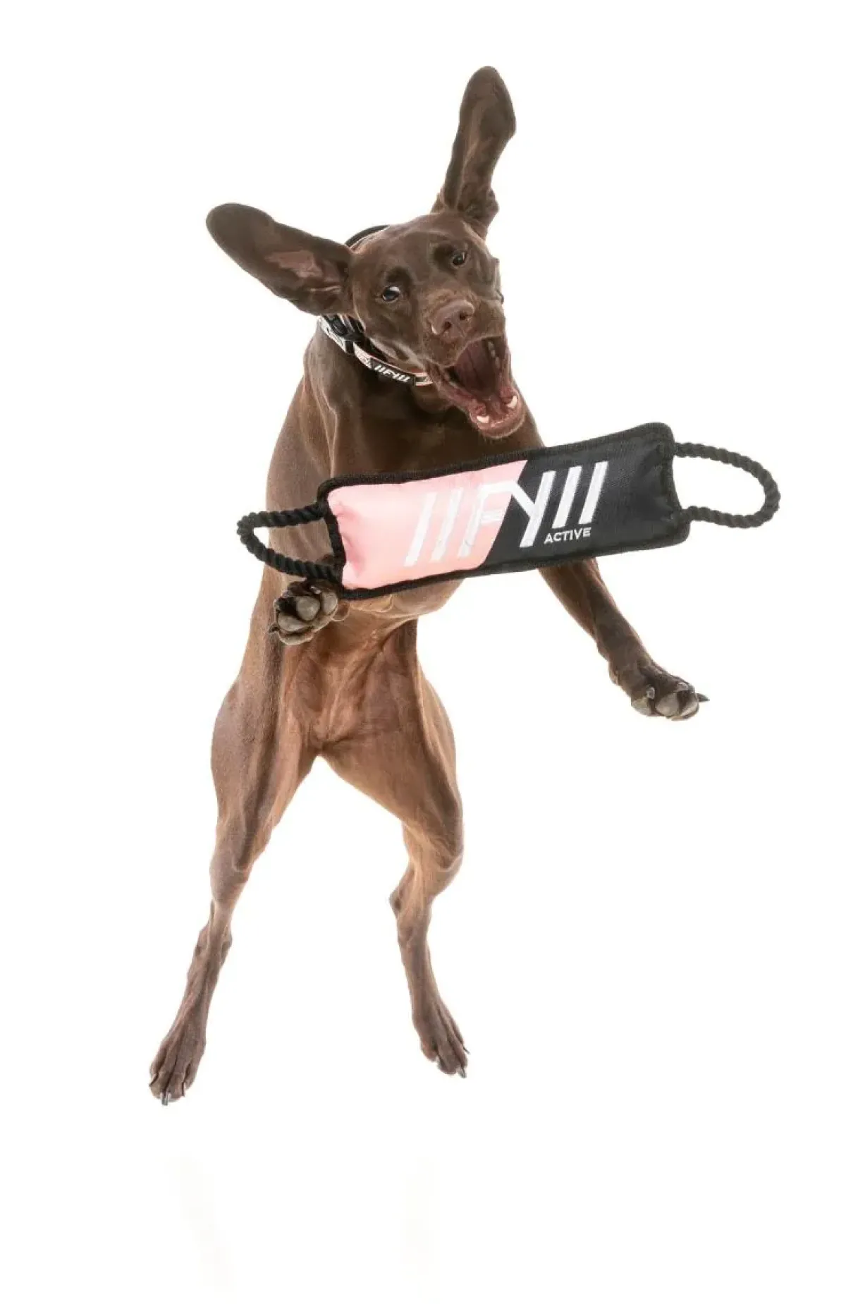 FuzzYard FY Active Rope Tug Dog Toy - Peach