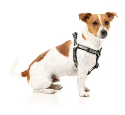 FuzzYard FY Active Strap Harness - Black