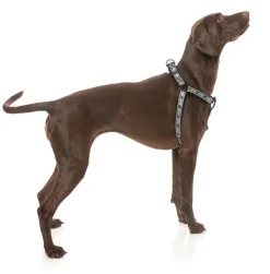 FuzzYard FY Active Strap Harness - Black