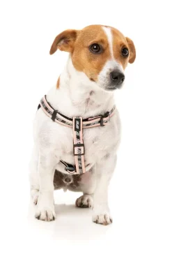 FuzzYard FY Active Strap Harness - Peach