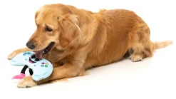 FuzzYard Gamezy - The Homies - Dog Toy