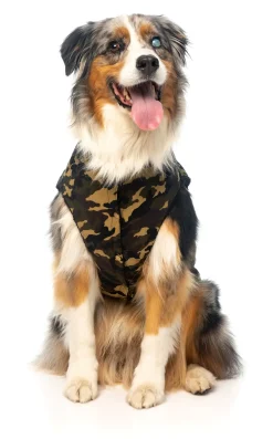 FuzzYard G.I Dog Jacket