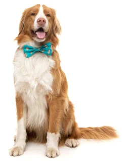 FuzzYard Gingerbread Man Bowtie