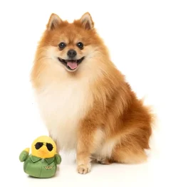 FuzzYard Goose - Dog Toy