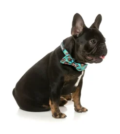 FuzzYard Gor-illz - Bowtie