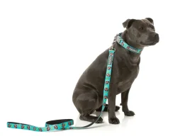 FuzzYard Gor-illz - Dog Lead