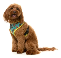 FuzzYard Gor-illz - Harness