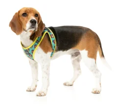 FuzzYard Gor-illz - Step In Harness