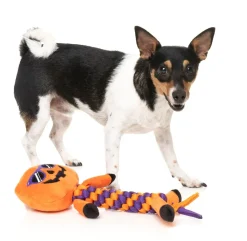 FuzzYard Gourdan Ramsay - Dog Toy