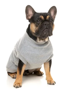 FuzzYard Grey Street Sweater