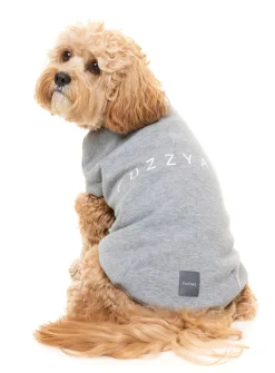 FuzzYard Grey Street Sweater