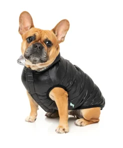 FuzzYard Hakuba Jacket - Black