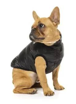 FuzzYard Harlem Puffer Jacket Black