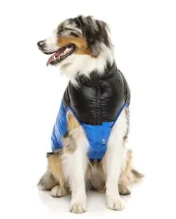 FuzzYard Harlem Puffer Jacket Blue