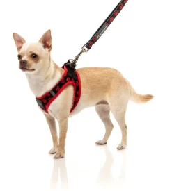 FuzzYard Heartbreaker Step In Harness