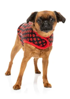 FuzzYard Heartbreaker Wrap Vest