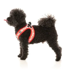 FuzzYard Hey There Sweetie - Step In Harness