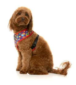 FuzzYard Highscore - Harness