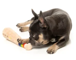 FuzzYard Hittin' On You Bat - Dog Toy