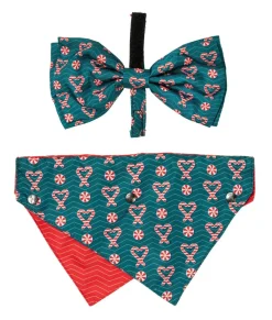 FuzzYard I Heart Candy Canes - Dog 2 Pack