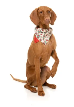 FuzzYard Ink'd Up - Bandana