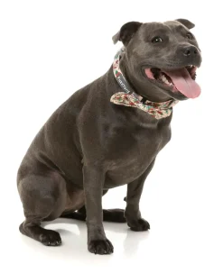 FuzzYard Ink'd Up - Bowtie