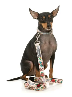 FuzzYard Ink'd Up - Dog Lead