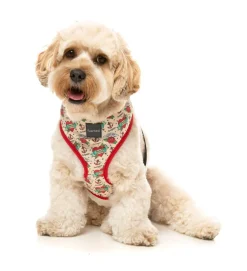 FuzzYard Ink'd Up - Harness